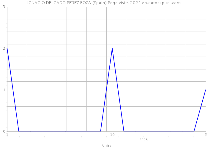 IGNACIO DELGADO PEREZ BOZA (Spain) Page visits 2024 