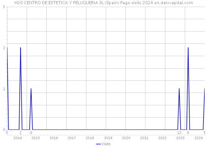 H20 CENTRO DE ESTETICA Y PELUQUERIA SL (Spain) Page visits 2024 