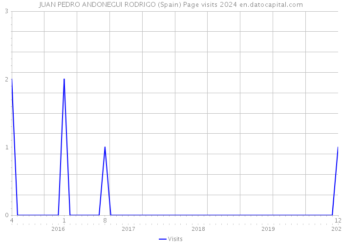 JUAN PEDRO ANDONEGUI RODRIGO (Spain) Page visits 2024 