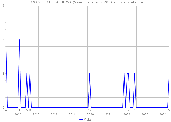 PEDRO NIETO DE LA CIERVA (Spain) Page visits 2024 