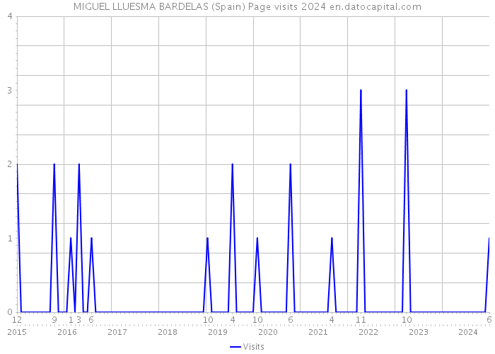 MIGUEL LLUESMA BARDELAS (Spain) Page visits 2024 