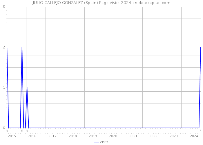 JULIO CALLEJO GONZALEZ (Spain) Page visits 2024 