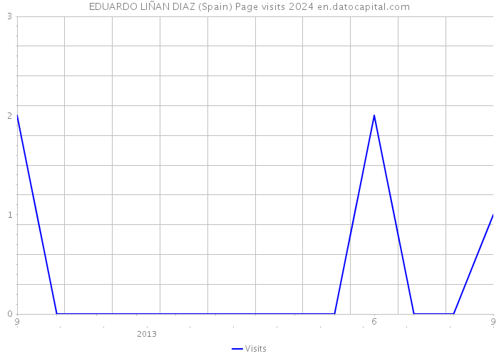 EDUARDO LIÑAN DIAZ (Spain) Page visits 2024 