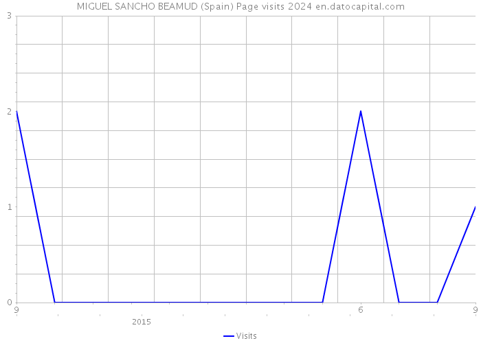 MIGUEL SANCHO BEAMUD (Spain) Page visits 2024 