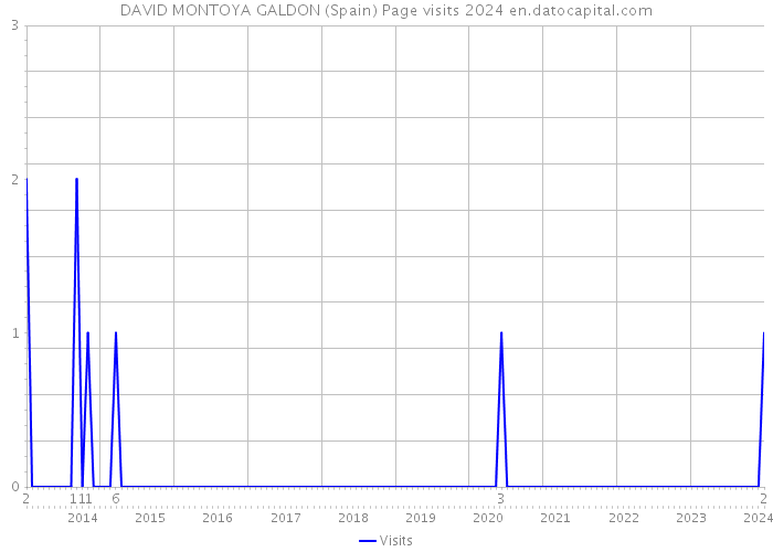 DAVID MONTOYA GALDON (Spain) Page visits 2024 