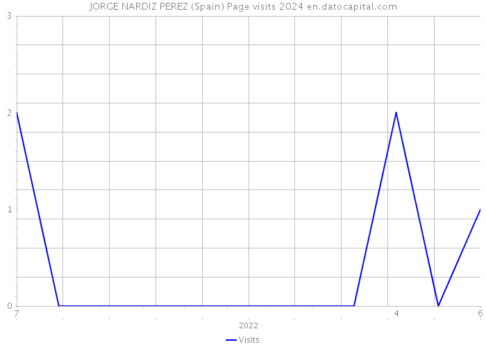 JORGE NARDIZ PEREZ (Spain) Page visits 2024 