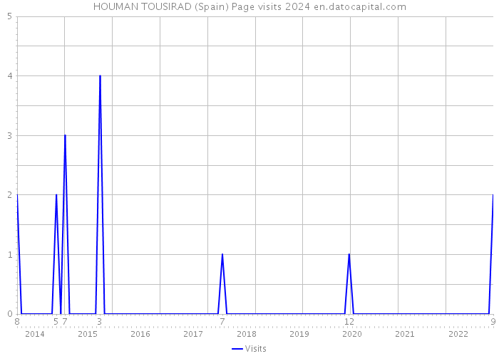 HOUMAN TOUSIRAD (Spain) Page visits 2024 