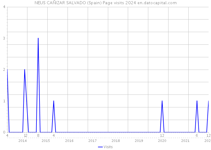 NEUS CAÑIZAR SALVADO (Spain) Page visits 2024 