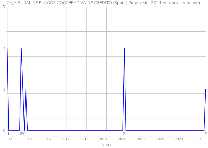 CAJA RURAL DE BURGOS COOPERATIVA DE CREDITO (Spain) Page visits 2024 