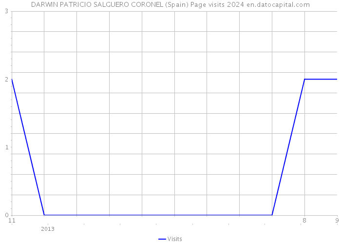 DARWIN PATRICIO SALGUERO CORONEL (Spain) Page visits 2024 