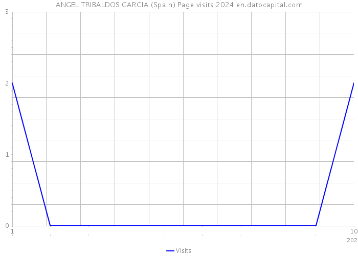 ANGEL TRIBALDOS GARCIA (Spain) Page visits 2024 