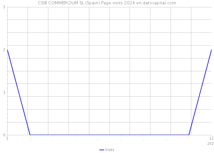 CSIB COMMERCIUM SL (Spain) Page visits 2024 
