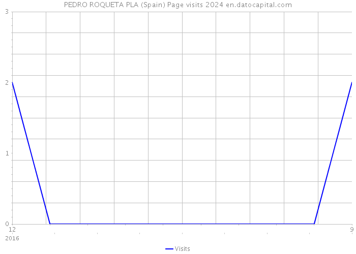 PEDRO ROQUETA PLA (Spain) Page visits 2024 