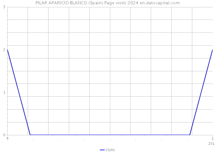 PILAR APARICIO BLANCO (Spain) Page visits 2024 