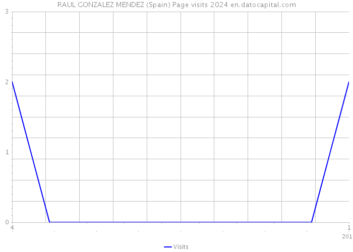 RAUL GONZALEZ MENDEZ (Spain) Page visits 2024 