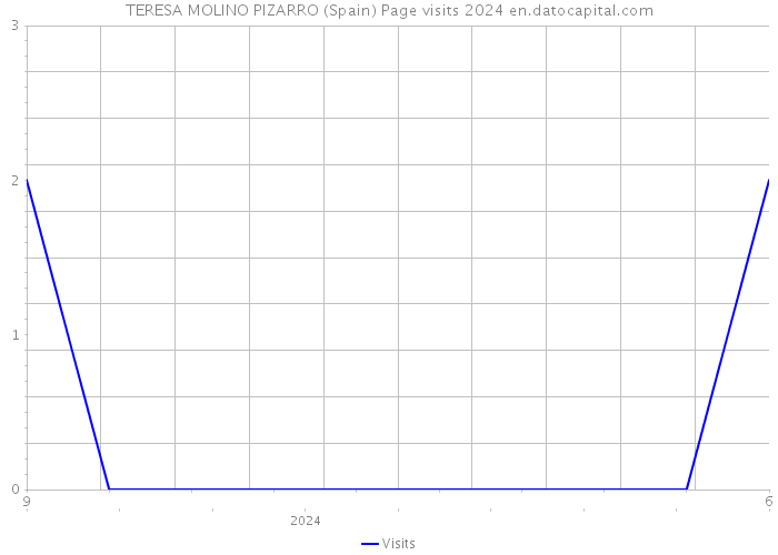 TERESA MOLINO PIZARRO (Spain) Page visits 2024 