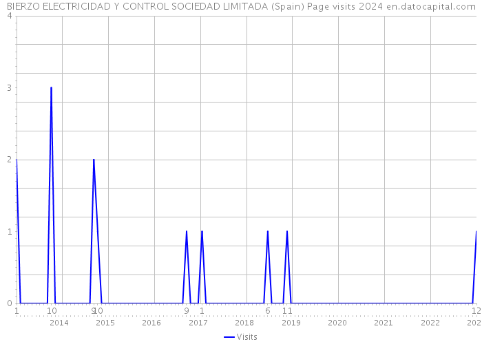 BIERZO ELECTRICIDAD Y CONTROL SOCIEDAD LIMITADA (Spain) Page visits 2024 