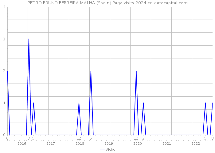 PEDRO BRUNO FERREIRA MALHA (Spain) Page visits 2024 