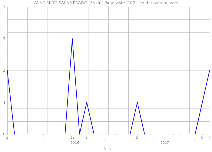 WLADIMIRO SALAS PRADO (Spain) Page visits 2024 