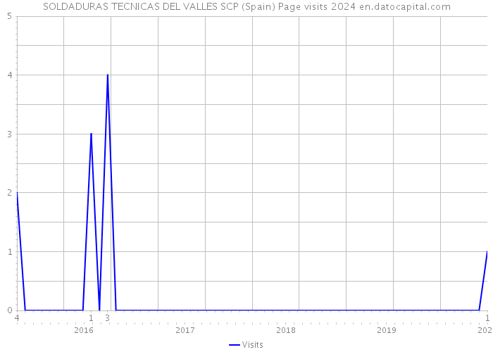 SOLDADURAS TECNICAS DEL VALLES SCP (Spain) Page visits 2024 