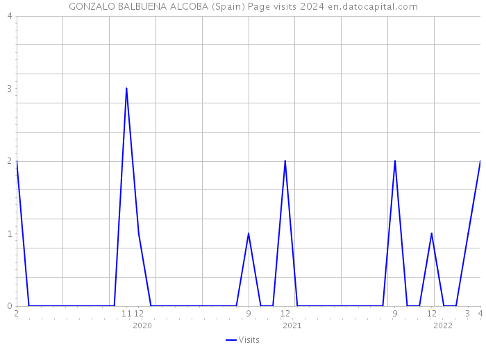 GONZALO BALBUENA ALCOBA (Spain) Page visits 2024 