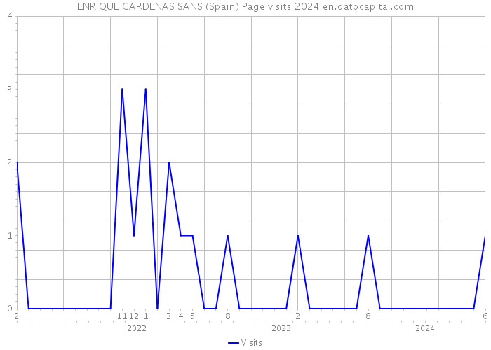 ENRIQUE CARDENAS SANS (Spain) Page visits 2024 