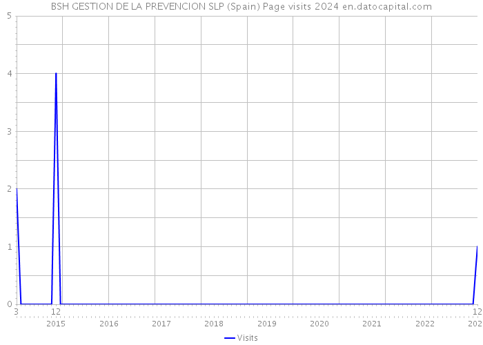 BSH GESTION DE LA PREVENCION SLP (Spain) Page visits 2024 