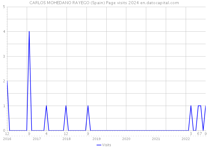 CARLOS MOHEDANO RAYEGO (Spain) Page visits 2024 