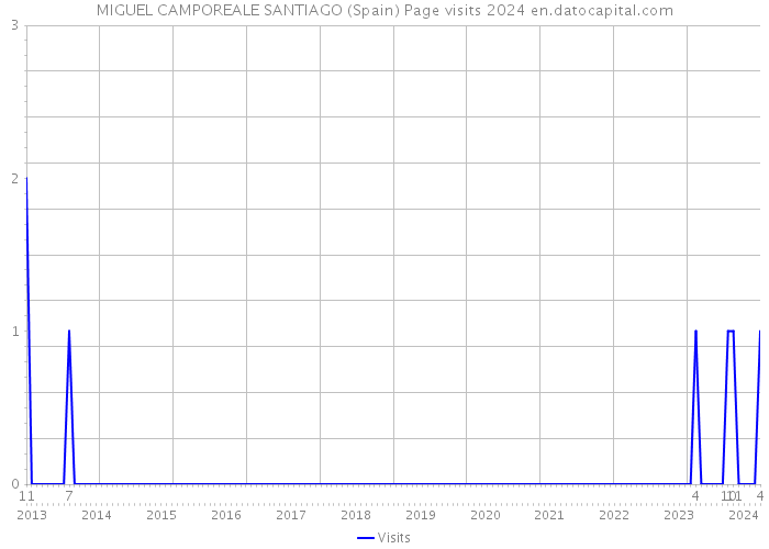 MIGUEL CAMPOREALE SANTIAGO (Spain) Page visits 2024 