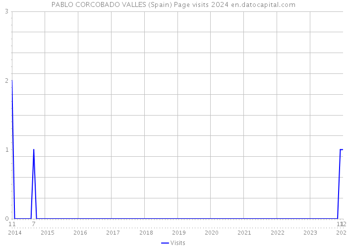 PABLO CORCOBADO VALLES (Spain) Page visits 2024 