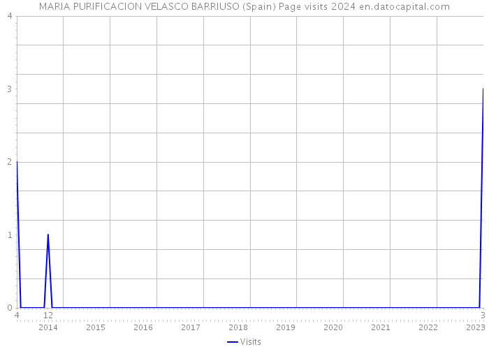 MARIA PURIFICACION VELASCO BARRIUSO (Spain) Page visits 2024 