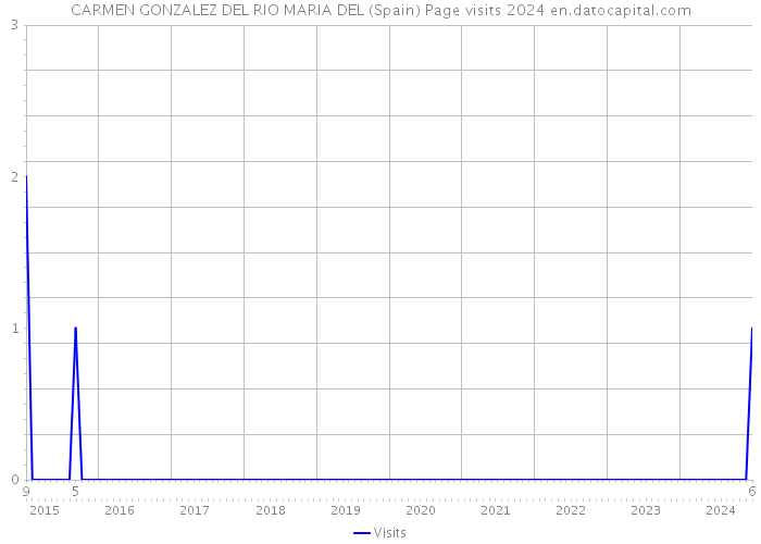 CARMEN GONZALEZ DEL RIO MARIA DEL (Spain) Page visits 2024 