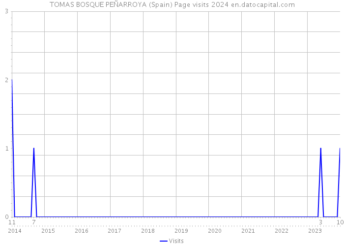TOMAS BOSQUE PEÑARROYA (Spain) Page visits 2024 