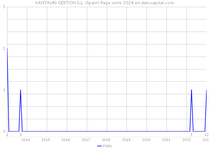 KANTAURI GESTION S.L. (Spain) Page visits 2024 