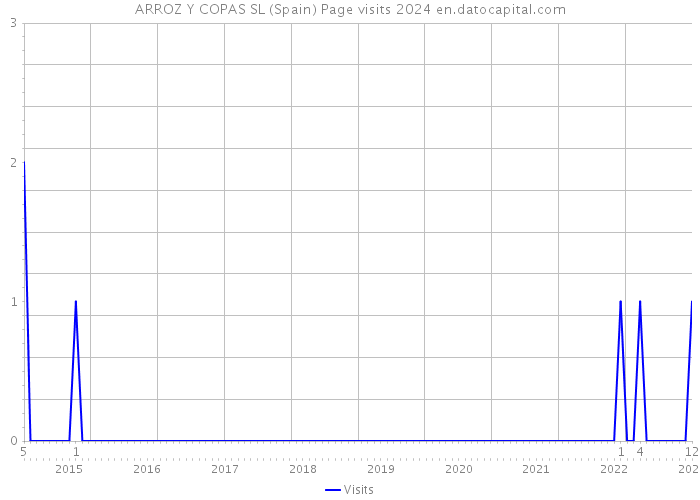 ARROZ Y COPAS SL (Spain) Page visits 2024 