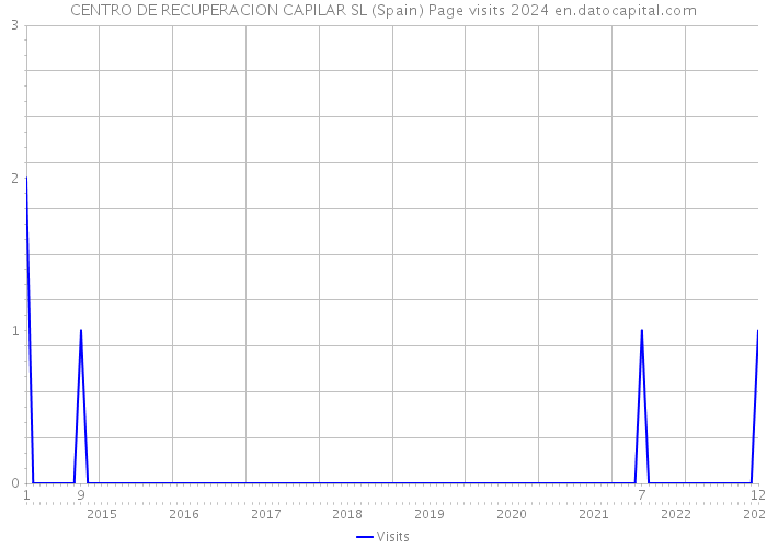 CENTRO DE RECUPERACION CAPILAR SL (Spain) Page visits 2024 