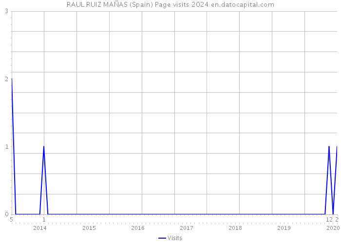 RAUL RUIZ MAÑAS (Spain) Page visits 2024 