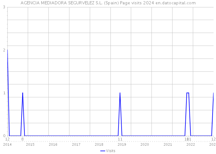 AGENCIA MEDIADORA SEGURVELEZ S.L. (Spain) Page visits 2024 