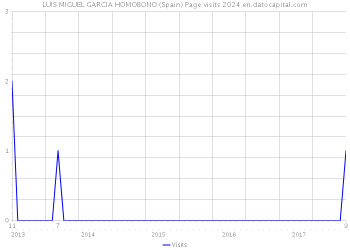 LUIS MIGUEL GARCIA HOMOBONO (Spain) Page visits 2024 