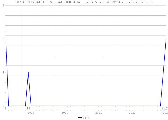 DECAPOLIS SALUD SOCIEDAD LIMITADA (Spain) Page visits 2024 