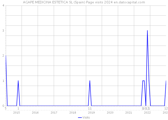 AGAPE MEDICINA ESTETICA SL (Spain) Page visits 2024 