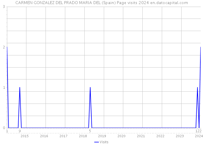 CARMEN GONZALEZ DEL PRADO MARIA DEL (Spain) Page visits 2024 