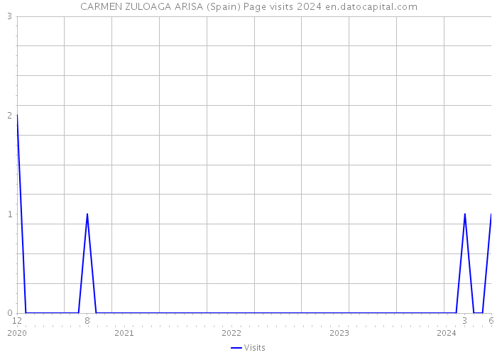 CARMEN ZULOAGA ARISA (Spain) Page visits 2024 