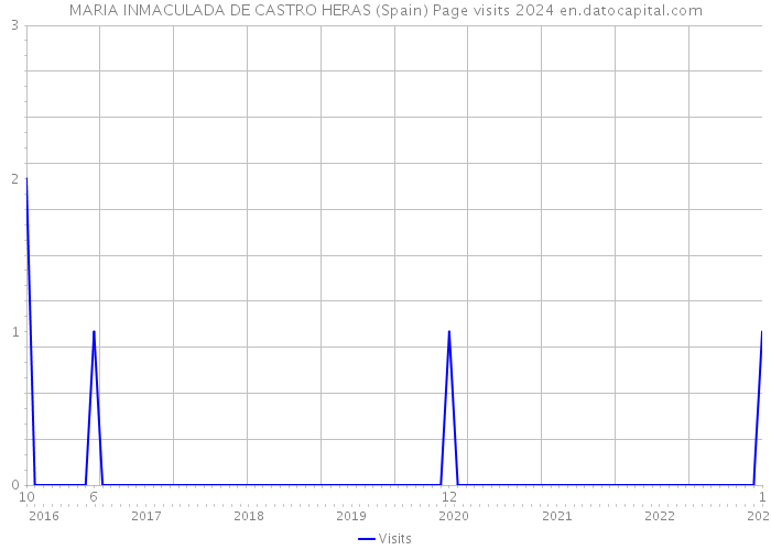 MARIA INMACULADA DE CASTRO HERAS (Spain) Page visits 2024 