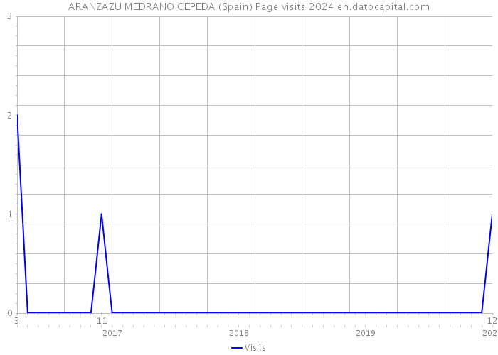 ARANZAZU MEDRANO CEPEDA (Spain) Page visits 2024 