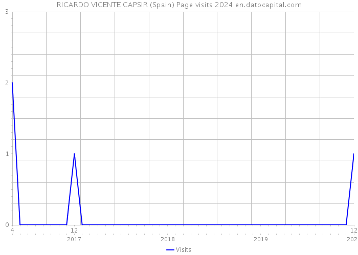RICARDO VICENTE CAPSIR (Spain) Page visits 2024 