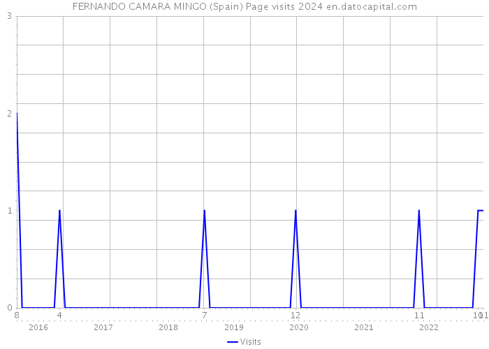 FERNANDO CAMARA MINGO (Spain) Page visits 2024 