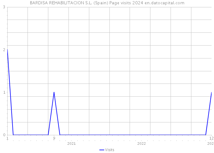 BARDISA REHABILITACION S.L. (Spain) Page visits 2024 