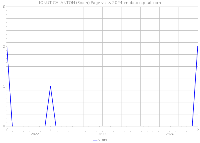 IONUT GALANTON (Spain) Page visits 2024 