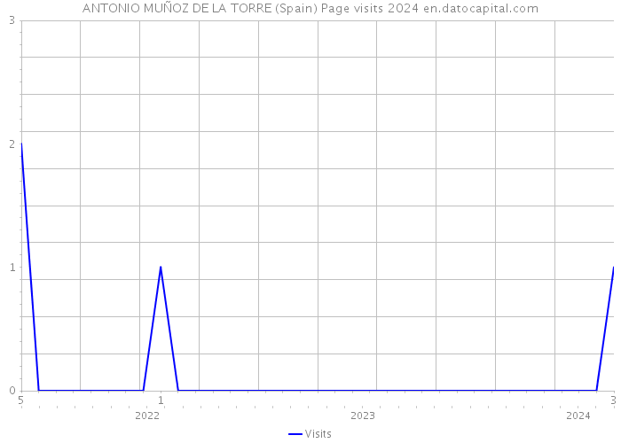 ANTONIO MUÑOZ DE LA TORRE (Spain) Page visits 2024 